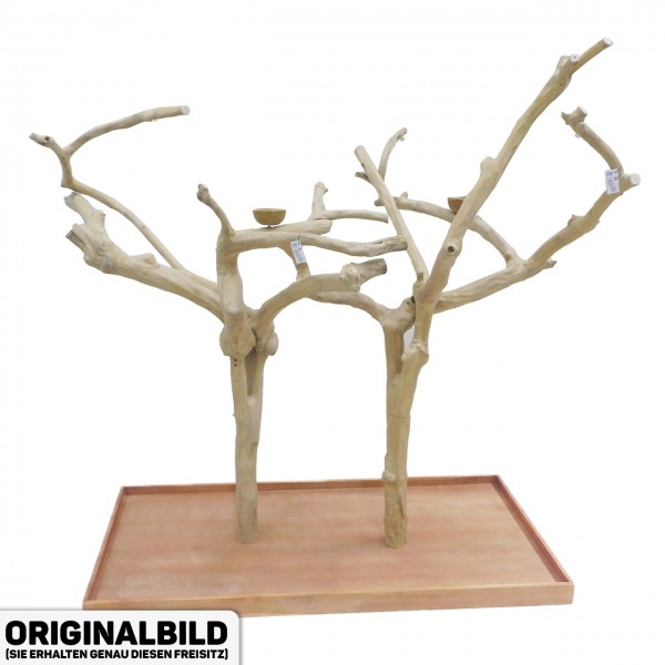 Java Tree Freisitz aus Kaffeeholz - DOUBLE - DB90048