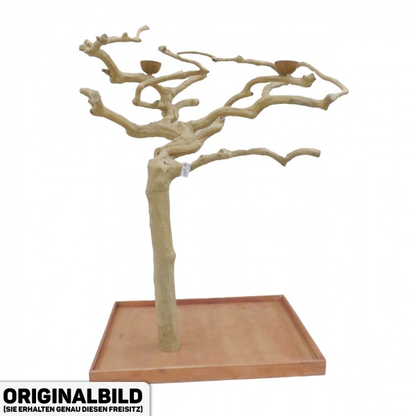 Java Tree XL Freisitz aus Kaffeeholz für Aras, Kakadus & Papageien AL30892