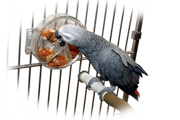 Versteckspielzeug "Treat Wheel"  für Papageien und Sittiche für Foraging