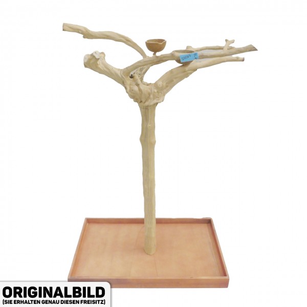 Java Tree Freisitz aus Kaffeeholz - LARGE - BL64065