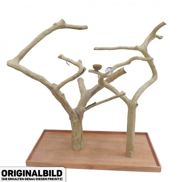 Java Tree Freisitz aus Kaffeeholz - DOUBLE - DB90064