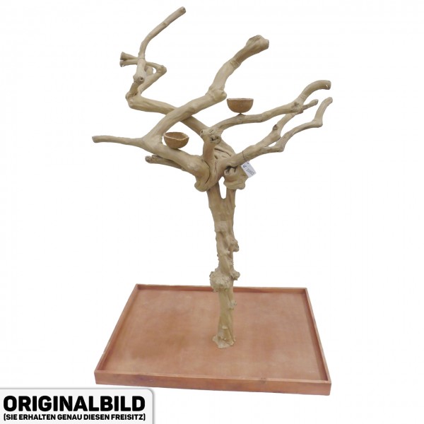 Java Tree Freisitz aus Kaffeeholz - LARGE - AL30885