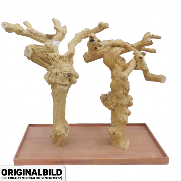 Java Tree Freisitz aus Kaffeeholz - DOUBLE - DB90067