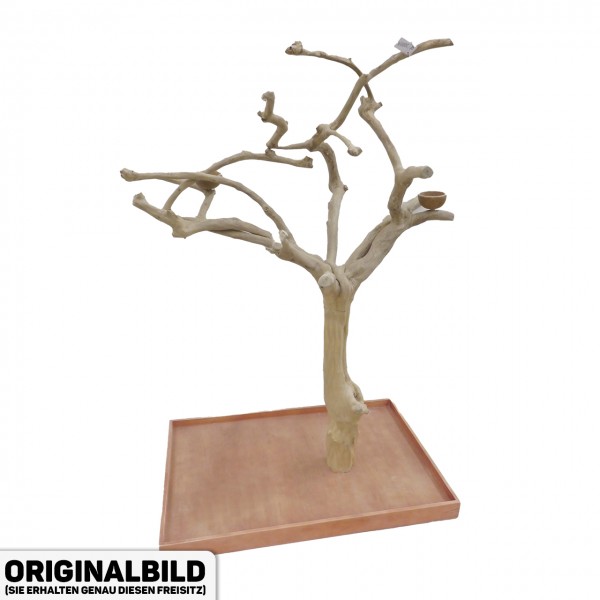 Java Tree Freisitz aus Kaffeeholz - LARGE - AL30894