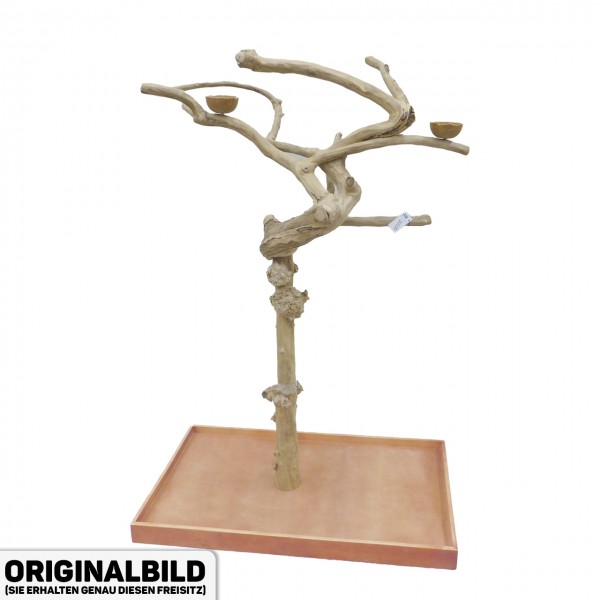 Java Tree XL Freisitz aus Kaffeeholz für Aras, Kakadus & Papageien  AM20105