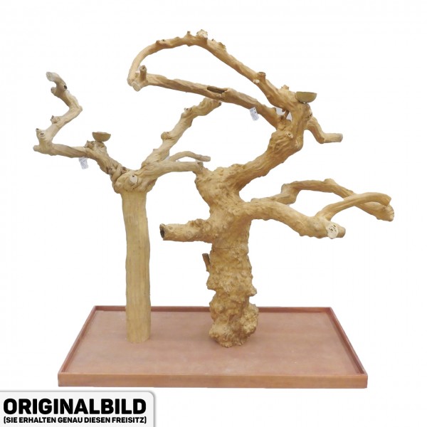 Java Tree Freisitz aus Kaffeeholz - DOUBLE - DB90071