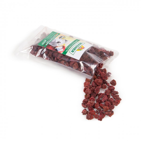 Himbeeren 100g | getrocknet und ohne Zusätze | Snack für Vögel