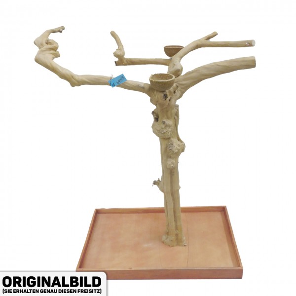 Java Tree Freisitz aus Kaffeeholz - LARGE - BL64072