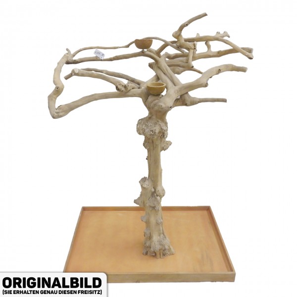Java Tree XL Freisitz aus Kaffeeholz für Aras, Kakadus & Papageien AL30874