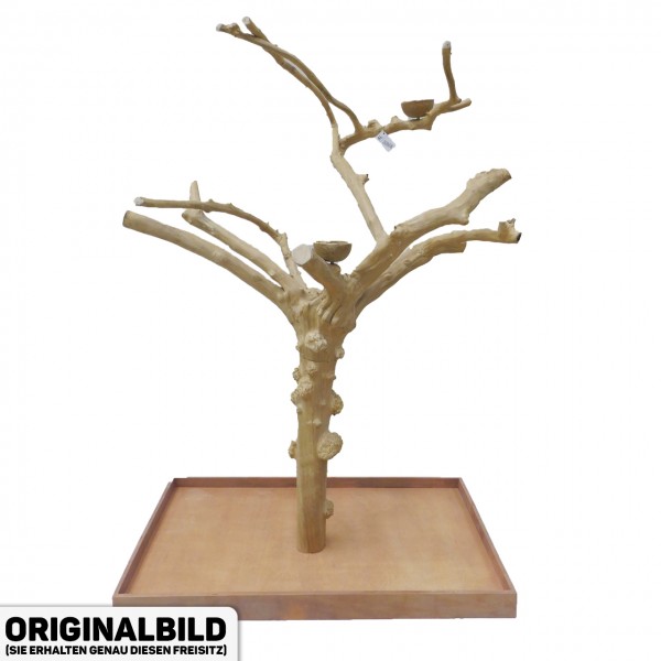Java Tree XL Freisitz aus Kaffeeholz für Aras, Kakadus & Papageien AL30868
