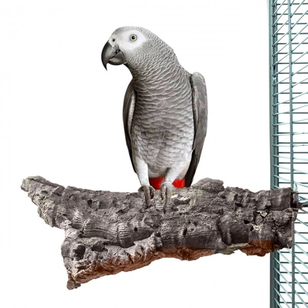 Vogel-Sitzbrett aus Natur Kork - Large
