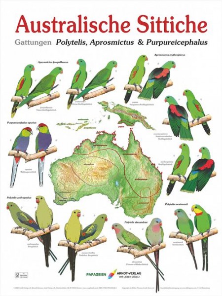 Poster Australische Sittiche plus Australienkarte 800x600 XL-Format auf Hochglanzpapier