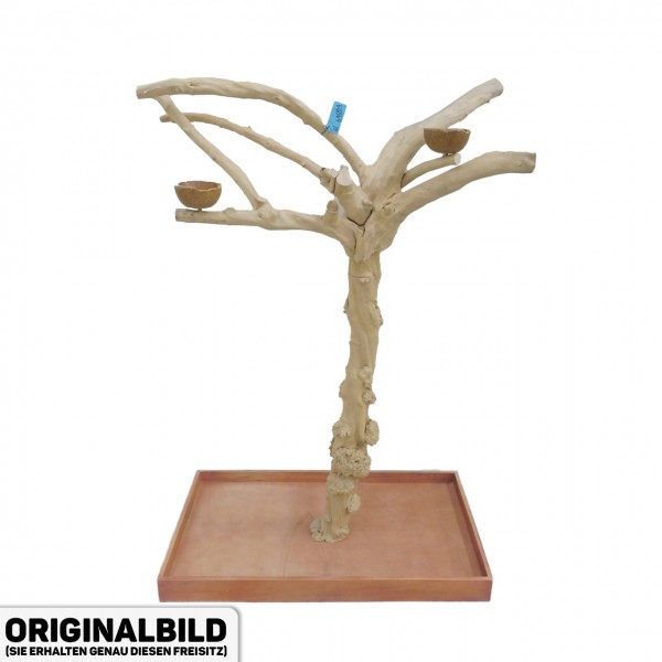 Java Tree Freisitz aus Kaffeeholz - LARGE - BL64054