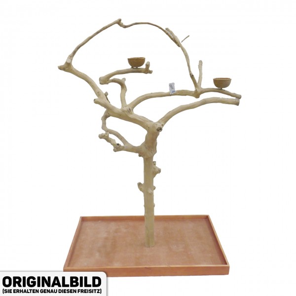 Java Tree Freisitz aus Kaffeeholz - MEDIUM - AM20087