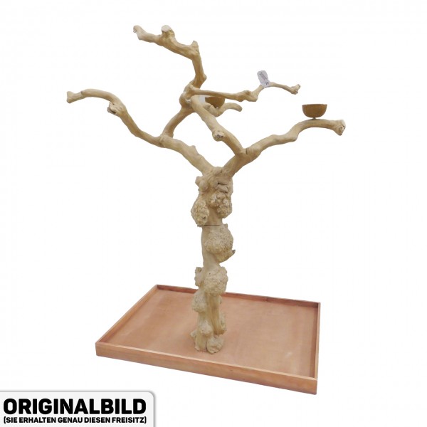 Java Tree XL Freisitz aus Kaffeeholz für Aras, Kakadus & Papageien AL30896