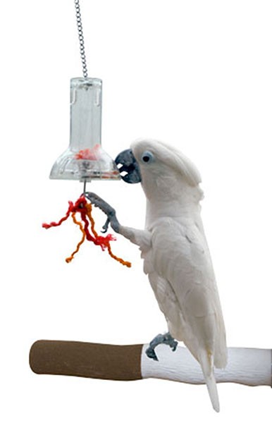 GLOCKEN-FUTTOMAT für clevere Papageien