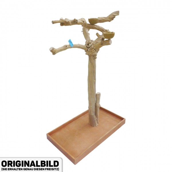 Java Tree Freisitz aus Kaffeeholz - LARGE - BL64066