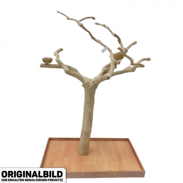 Java Tree XL Freisitz aus Kaffeeholz für Aras, Kakadus & Papageien AM20082