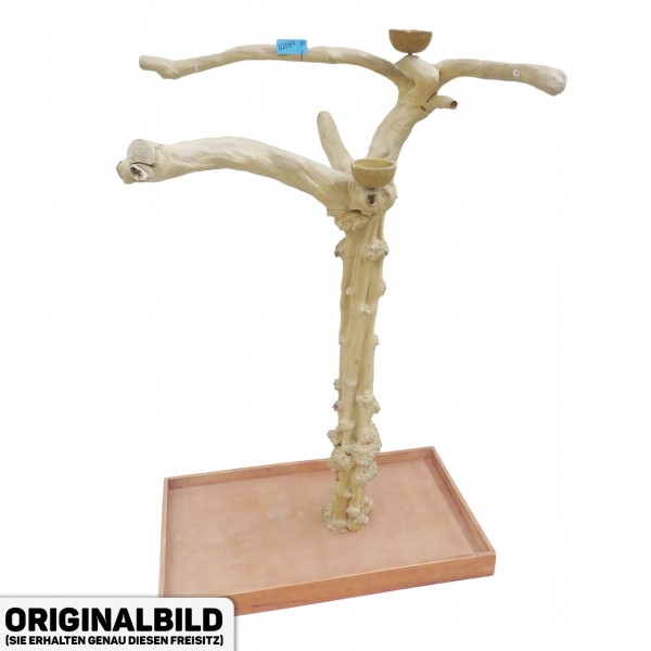 Java Tree Freisitz aus Kaffeeholz - LARGE - BL64070