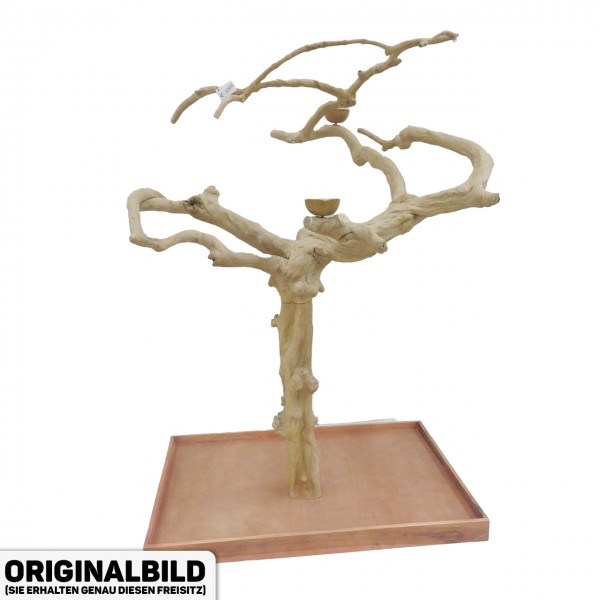 Java Tree XL Freisitz aus Kaffeeholz für Aras, Kakadus & Papageien AL30884