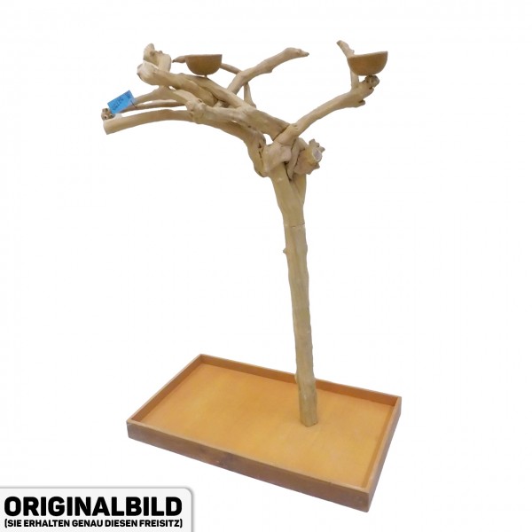 Java Tree Freisitz aus Kaffeeholz - MEDIUM - BM52755