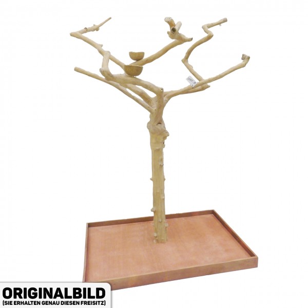 Java Tree Freisitz aus Kaffeeholz - LARGE - AL30845