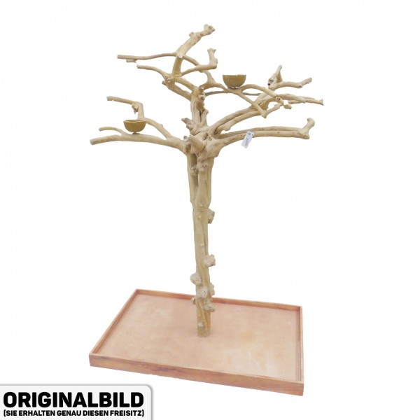 Java Tree XL Freisitz aus Kaffeeholz für Aras, Kakadus & Papageien  AM20095