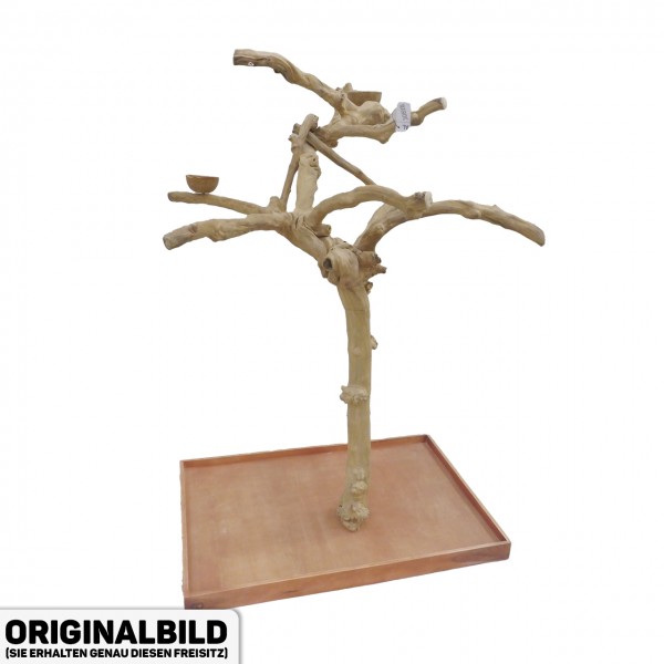Java Tree XL Freisitz aus Kaffeeholz für Aras, Kakadus & Papageien AL30898