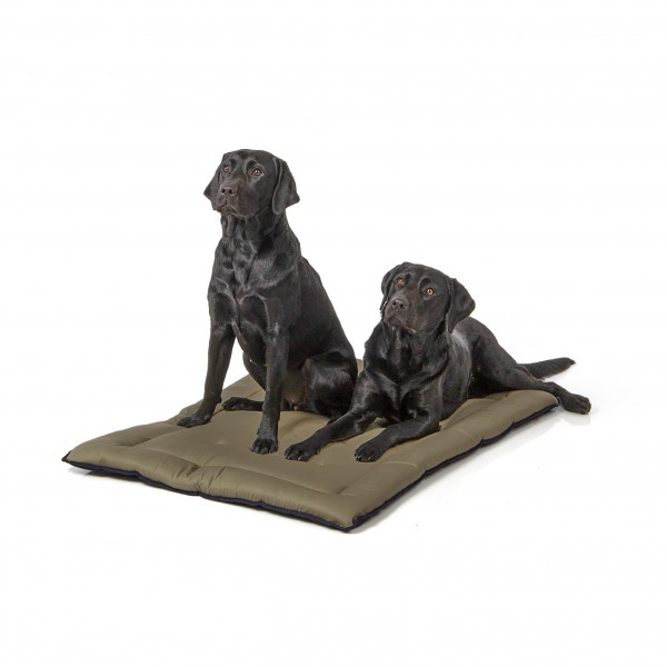 gepolsterte Wendedecke 110 x 80 cm, dunkelblau/oliv bei 95°C waschbar für Hunde