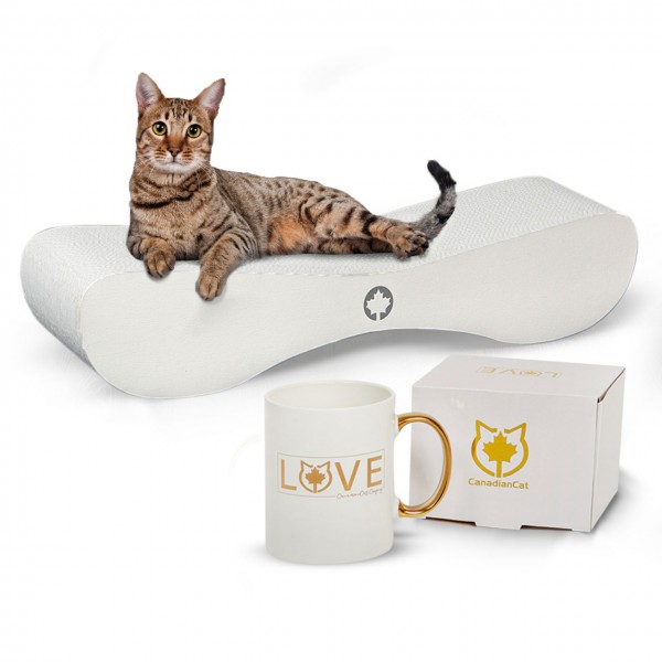 Special-Bundle - WHITE EDITION | Kratzbrett Satellite 2.0 + Limitierte Tasse "LOVE"