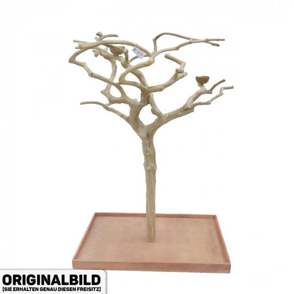 Java Tree XL Freisitz aus Kaffeeholz für Aras, Kakadus & Papageien AM20101
