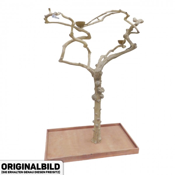 Java Tree XL Freisitz aus Kaffeeholz für Aras, Kakadus & Papageien AM20098