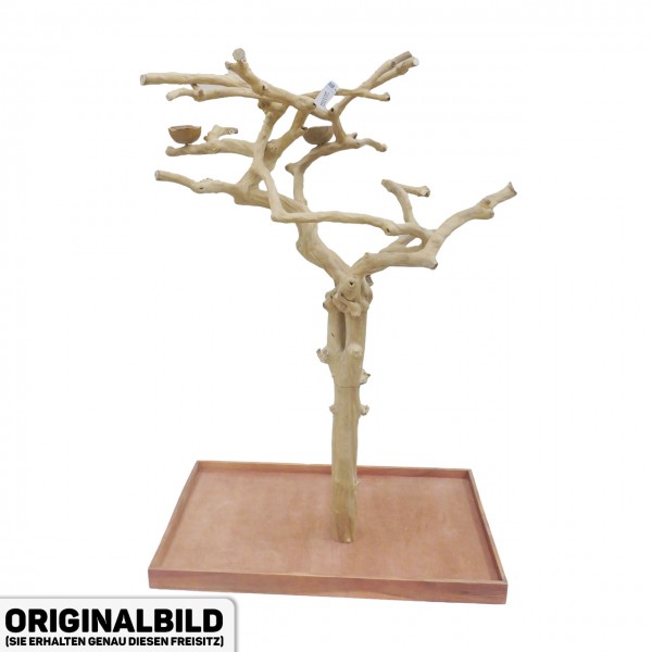Java Tree Freisitz aus Kaffeeholz - MEDIUM - AM20102