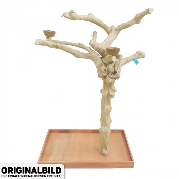 Java Tree Freisitz aus Kaffeeholz - LARGE - BL64069