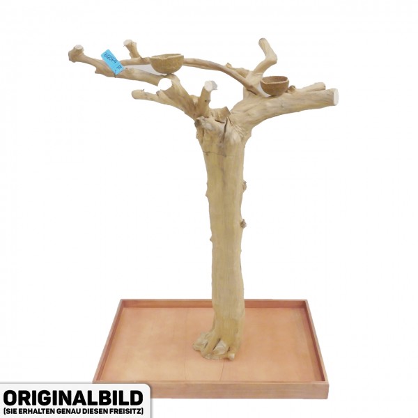 Java Tree Freisitz aus Kaffeeholz - LARGE - BL64059