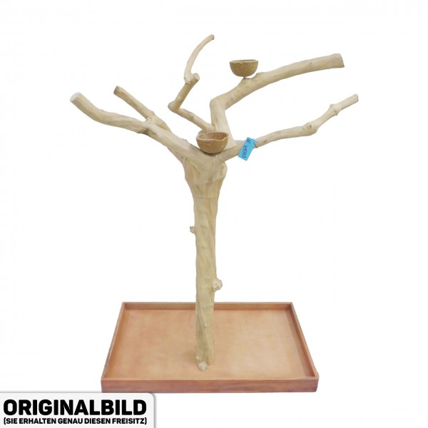 Java Tree Freisitz aus Kaffeeholz - LARGE - BL64063