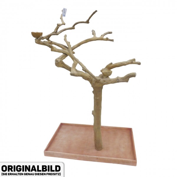Java Tree XL Freisitz aus Kaffeeholz für Aras, Kakadus & Papageien  AM20109