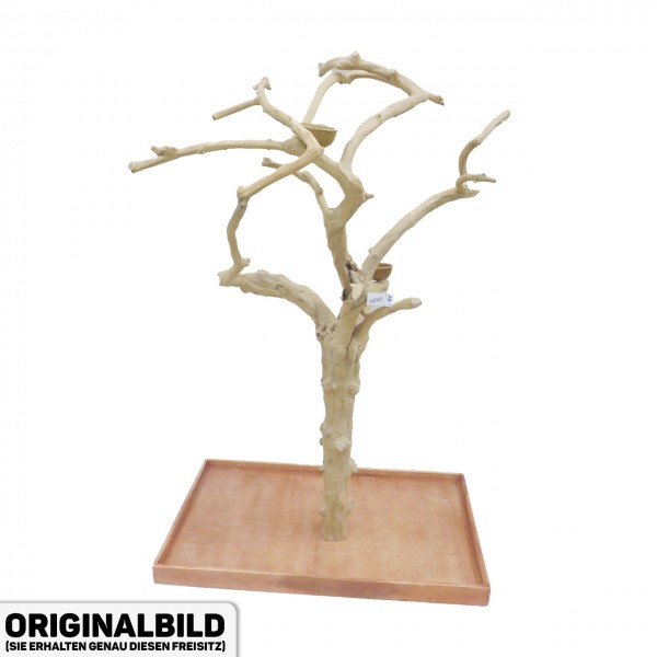 Java Tree XL Freisitz aus Kaffeeholz für Aras, Kakadus & Papageien AM20089