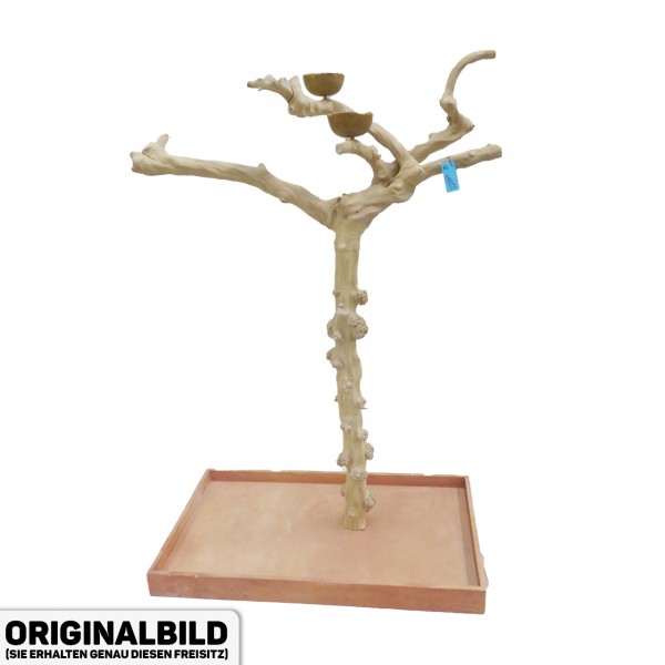 Java Tree Freisitz aus Kaffeeholz - LARGE - BL64077