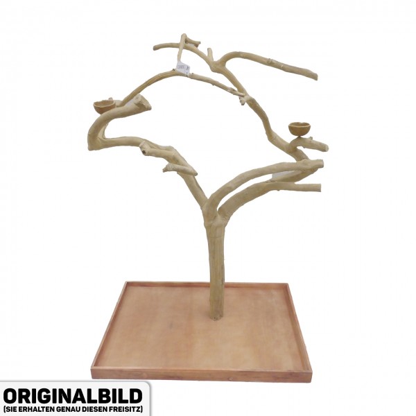 Java Tree XL Freisitz aus Kaffeeholz für Aras, Kakadus & Papageien AL30897