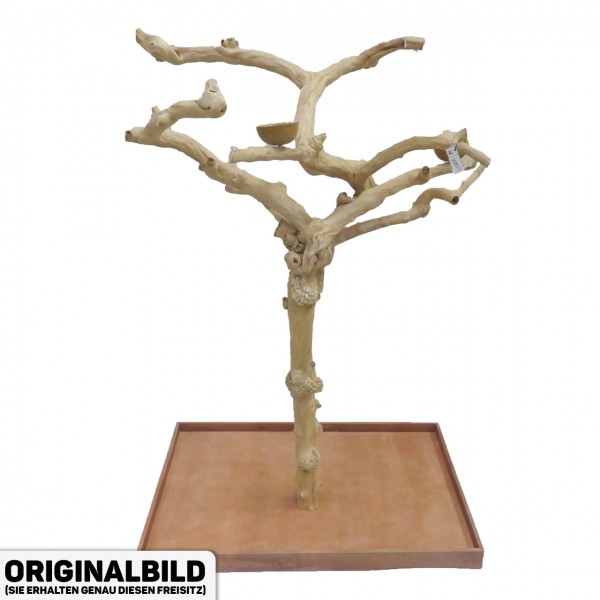 Java Tree XL Freisitz aus Kaffeeholz für Aras, Kakadus & Papageien AL30877