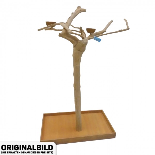 Java Tree Freisitz aus Kaffeeholz - MEDIUM - BM52754