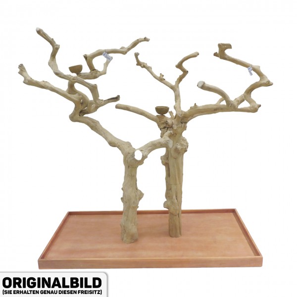 Java Tree Freisitz aus Kaffeeholz - DOUBLE - DB90066