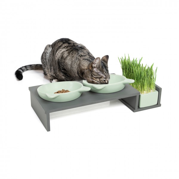 Futterbar "Cat Diner" in grau mit drei mintgrünen Keramikschalen