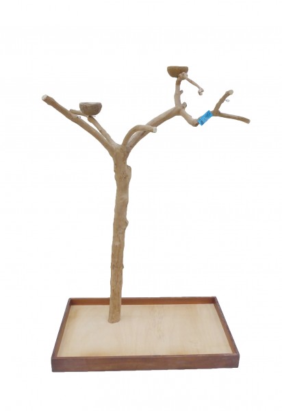 Java Tree Freisitz aus Kaffeeholz - Large für Papageien, Aras und Kakadus BM5387