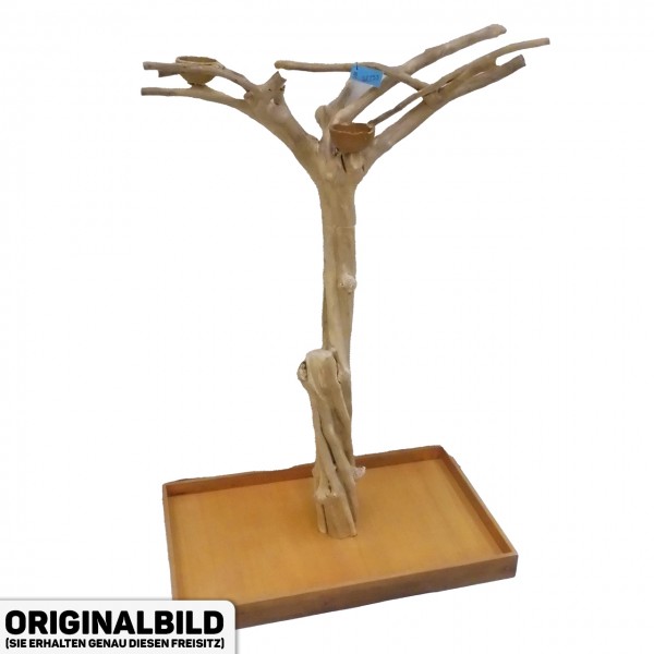 Java Tree Freisitz aus Kaffeeholz - MEDIUM - BM52753