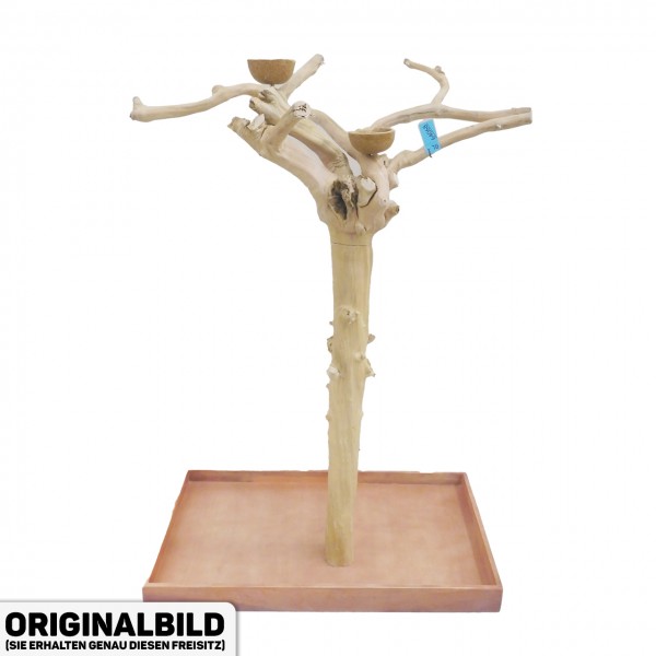 Java Tree Freisitz aus Kaffeeholz - LARGE - BL64068