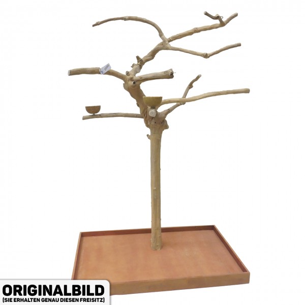 Java Tree XL Freisitz aus Kaffeeholz für Aras, Kakadus & Papageien  AM20083