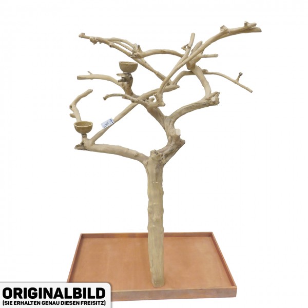 Java Tree XL Freisitz aus Kaffeeholz für Aras, Kakadus & Papageien AM20077