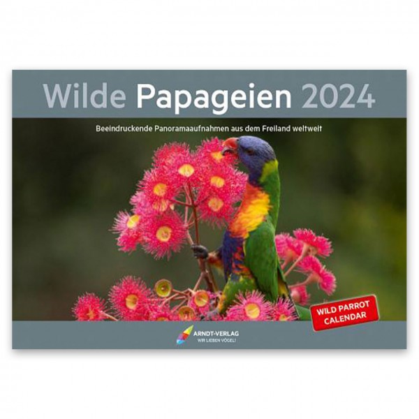 Kalender: Wilde Papageien 2024
